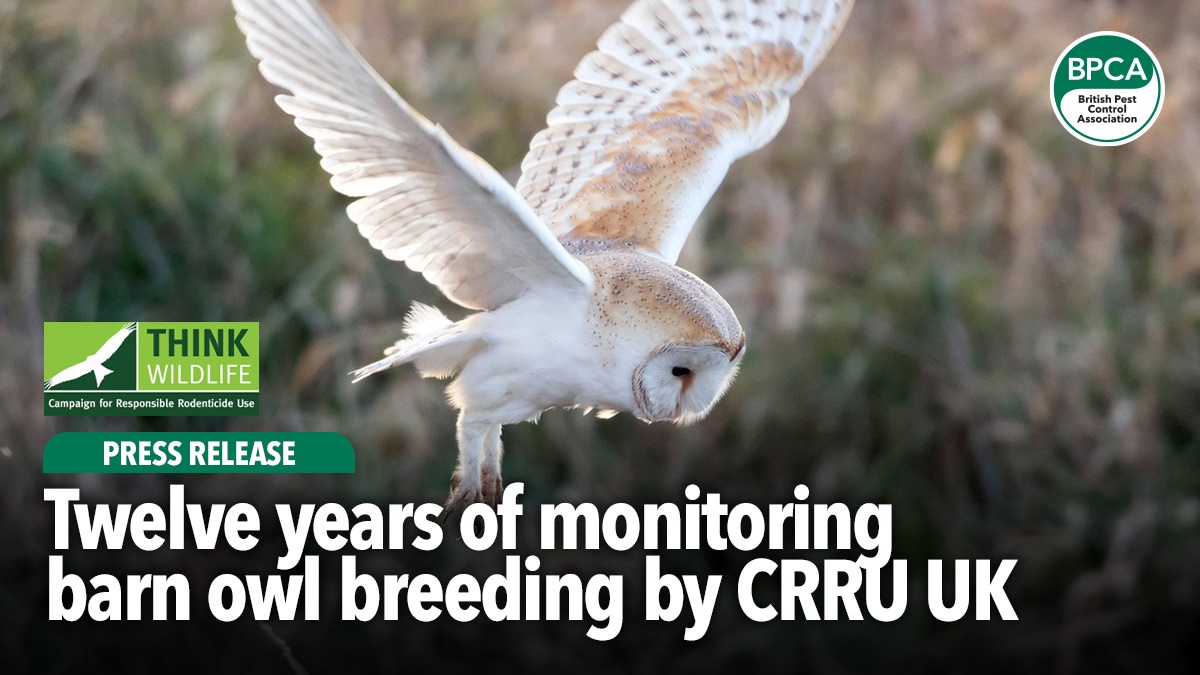 Twelve-years-of-monitoring-barn-owl-breeding-CRRU-UK-hero